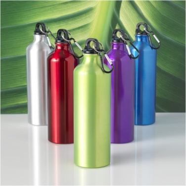 Logotrade promotional merchandise photo of: Oregon 770 ml aluminium water bottle with carabiner