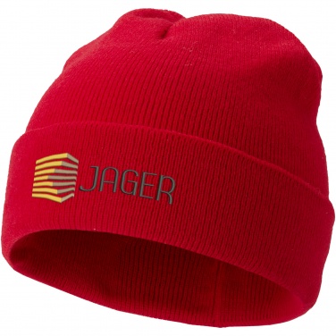 Logotrade promotional giveaway picture of: Irwin beanie