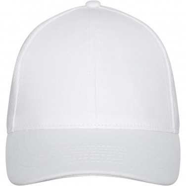 Logo trade promotional merchandise photo of: Drake 6 panel trucker cap