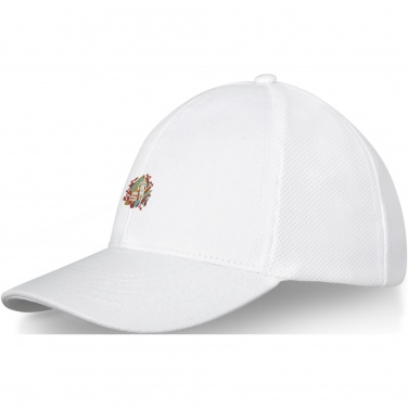 Logo trade corporate gifts image of: Drake 6 panel trucker cap