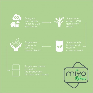 Logotrade promotional item image of: MIYO Renew double layer lunch box