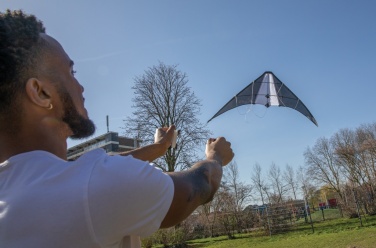Logotrade promotional giveaways photo of: Delta kite