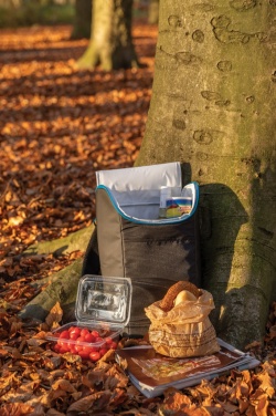 Logotrade promotional giveaway picture of: Explorer outdoor cooler backpack