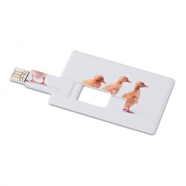 Logotrade promotional gift image of: Creditcard. USB flash 4GB