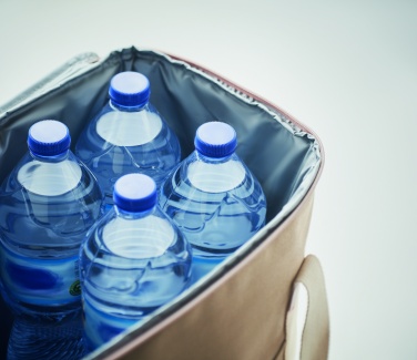 Logo trade promotional merchandise picture of: Large cooler bag canvas 450gr/m