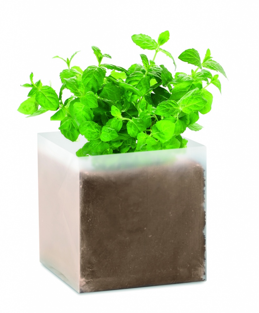 Logotrade advertising products photo of: Compost with seeds "MINT"