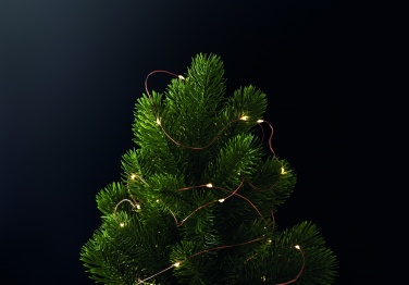 Logotrade promotional merchandise image of: LED fairy lights string 5m