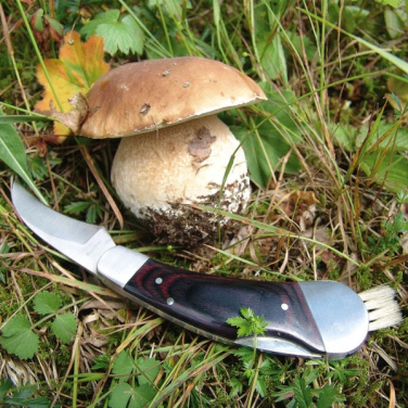 Logo trade advertising products image of: Mushroom knife PILZ Schwarzwolf