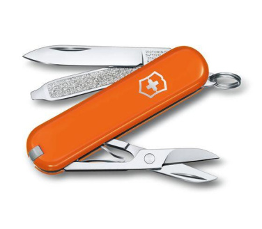 Logotrade promotional giveaways photo of: Pocket knife CLASSIC SD Victorinox
