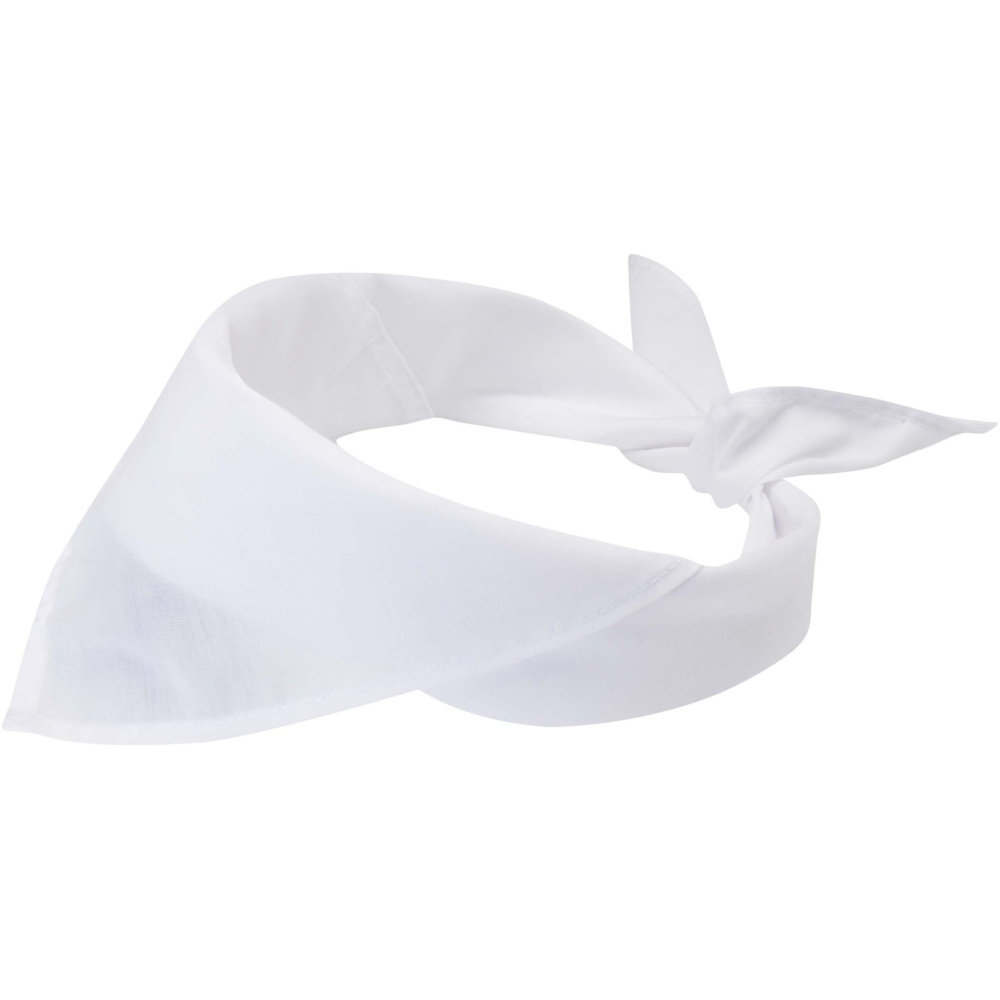 Logotrade promotional merchandise photo of: Heracles bandana