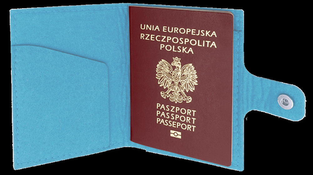 Logotrade corporate gift image of: Passport case 84106200