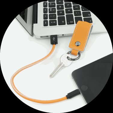 Logo trade promotional gifts picture of: Keyring 59612900