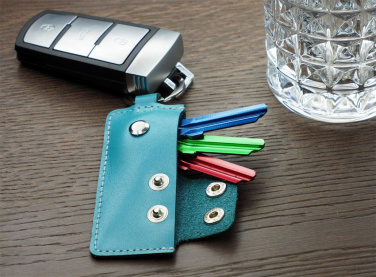 Logo trade promotional giveaways image of: Keyring 1276131