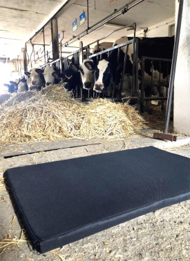 Logotrade promotional products photo of: Disinfection mat 100x150x3cm 1369087