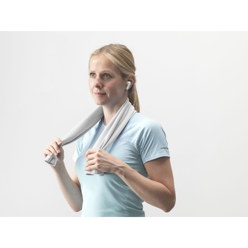Logo trade promotional giveaways image of: CoolDown RPET sports cooling towel