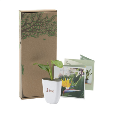 Logo trade promotional item photo of: Treemore Letterbox Trees Bird of Paradise plant
