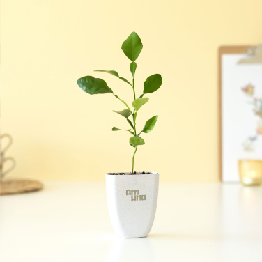 Logo trade promotional gift photo of: Treemore Letterbox Trees Kaffir Lemon
