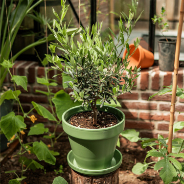 Logotrade promotional merchandise image of: Treemore Letterbox Trees Olive