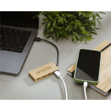 Logotrade promotional giveaway picture of: Fyra Bamboo Hub