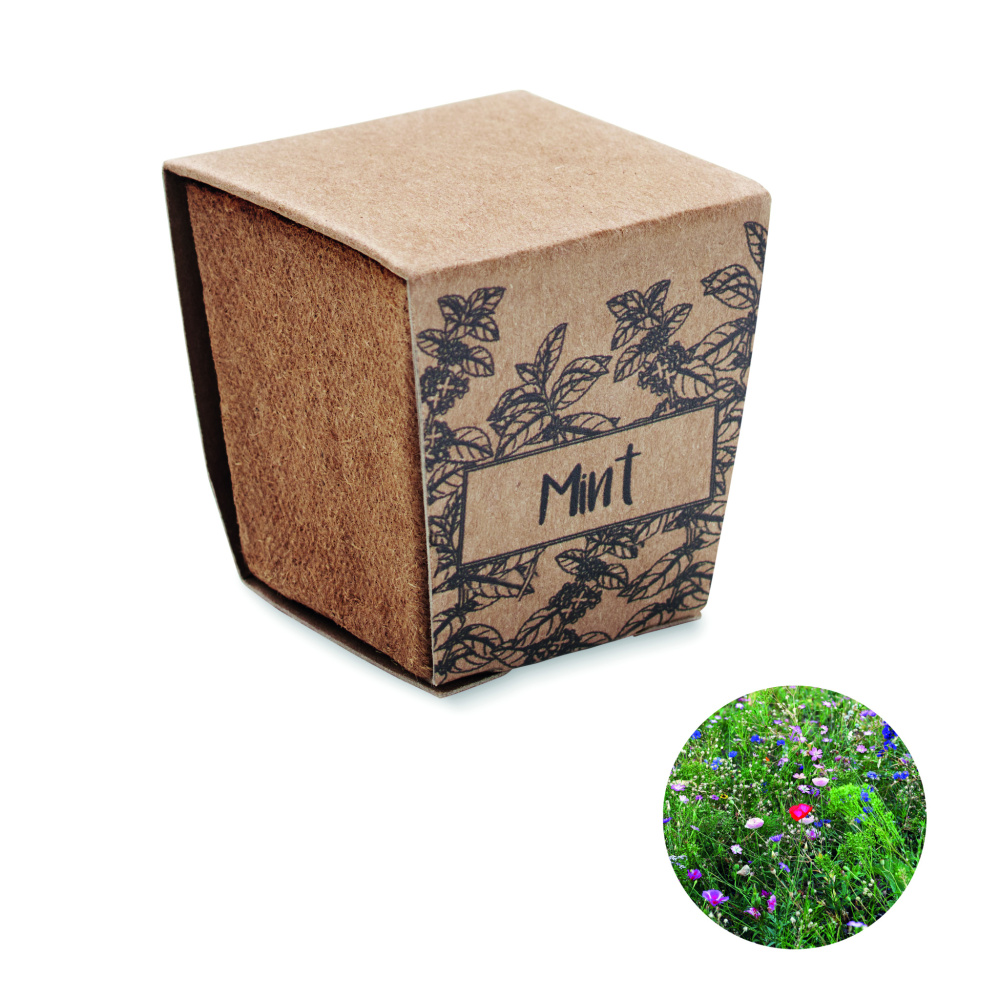 Logotrade promotional product picture of: Mint seeds growing kit