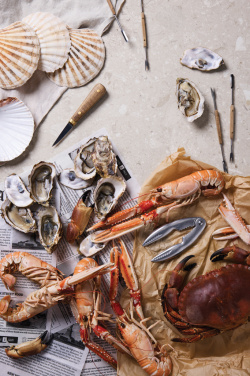 Logotrade promotional merchandise photo of: VINGA Story of seafood