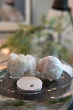 Logo trade promotional giveaways image of: Breevia RCS rplasic re-chargeable floating humidifier