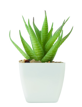Logotrade promotional products photo of: Mini artificial plant