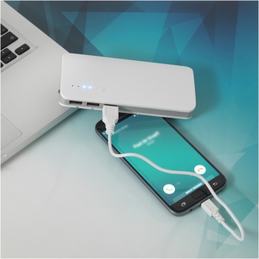 Logotrade ärikingid pilt: Varu 10 000 mAh akupank