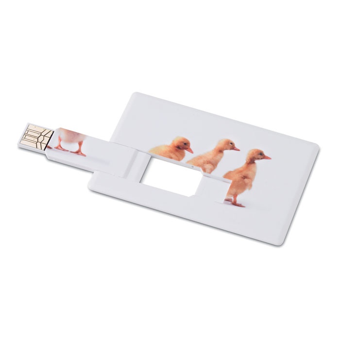 Logotrade firmakingi foto: Krediitkaart. USB-välkmälu 4 GB