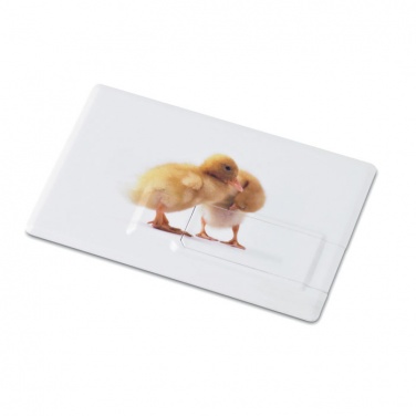 Logo trade firmakingi pilt: Krediitkaart. USB-välkmälu 4 GB
