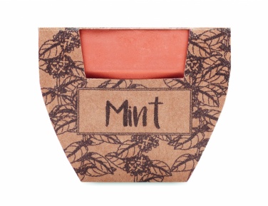 Logotrade ärikingitused pilt: Terrakota potti piparmündiseemned