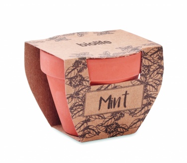 Logo trade reklaamkingitused foto: Terrakota potti piparmündiseemned