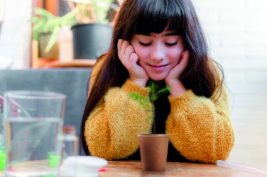 Logotrade reklaamtooted pilt: Männipuu komplekt