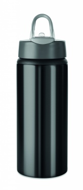 Logotrade firmakingid pilt: Alumiiniumpudel 600 ml