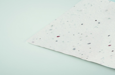 Logo trade reklaamtoote pilt: ASIDA Seemnepaberist visiitkaart