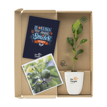 Logotrade mainoslahja ja liikelahja kuva: Treemore Letterbox Trees Kaffir Lemon