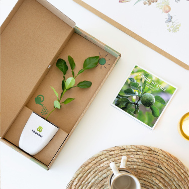 Logotrade liikelahjat kuva: Treemore Letterbox Trees Kaffir Lemon
