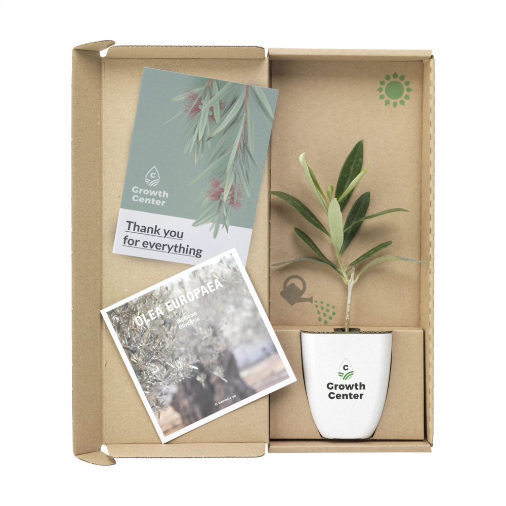 Logotrade liikelahja tuotekuva: Treemore Letterbox Trees Olive